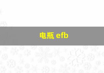 电瓶 efb